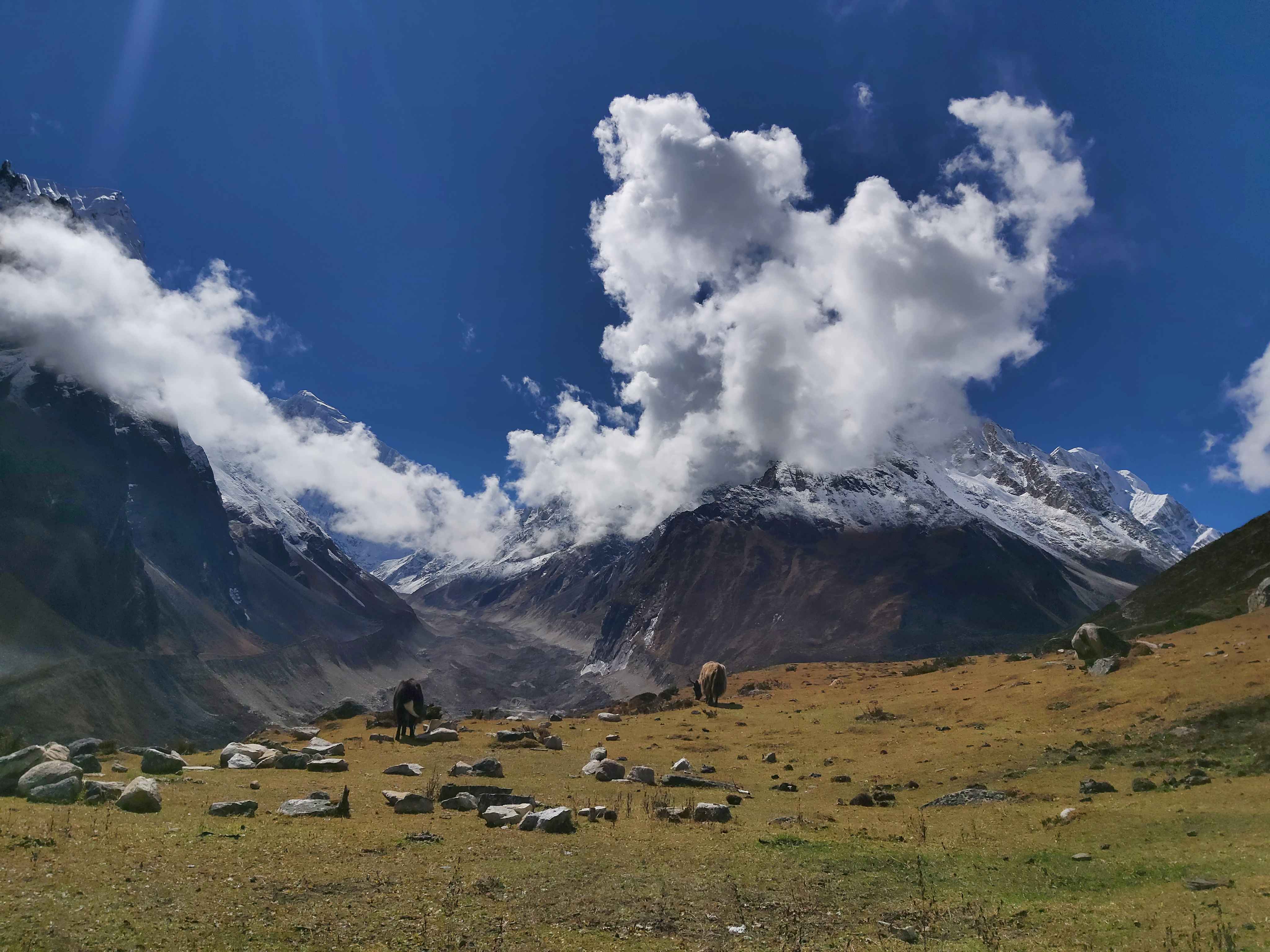 Manaslu Base Camp Trek