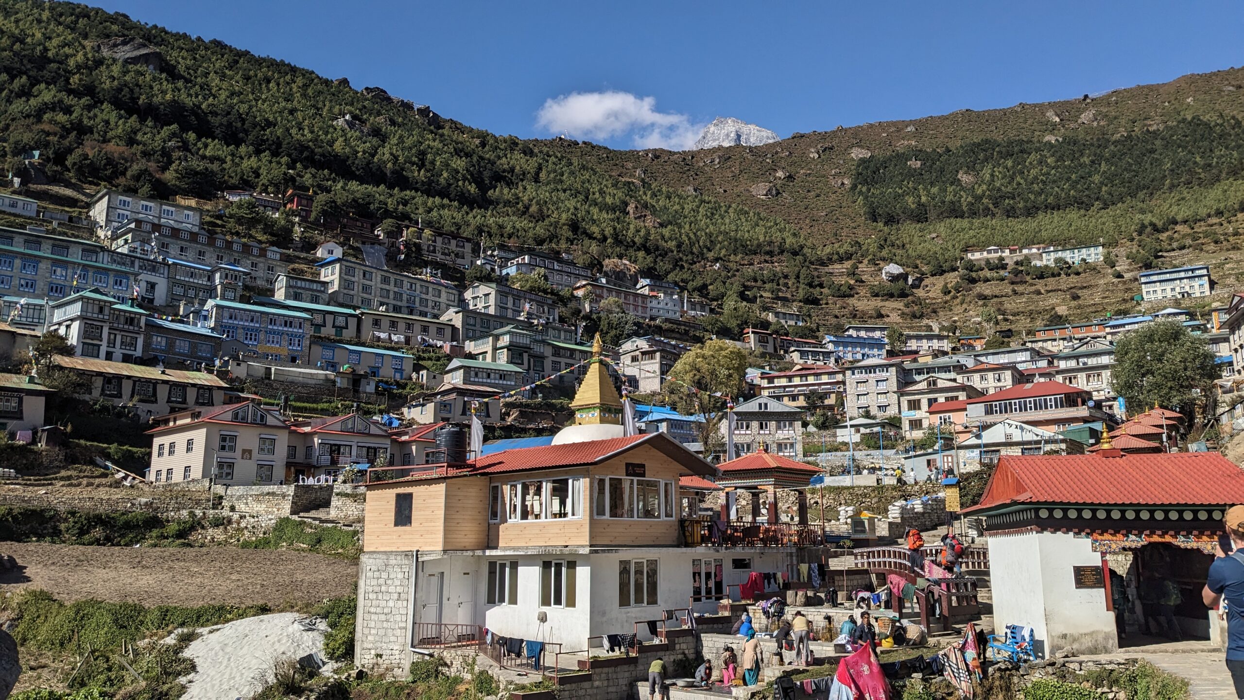 PXL_20231023_083752249 scaled