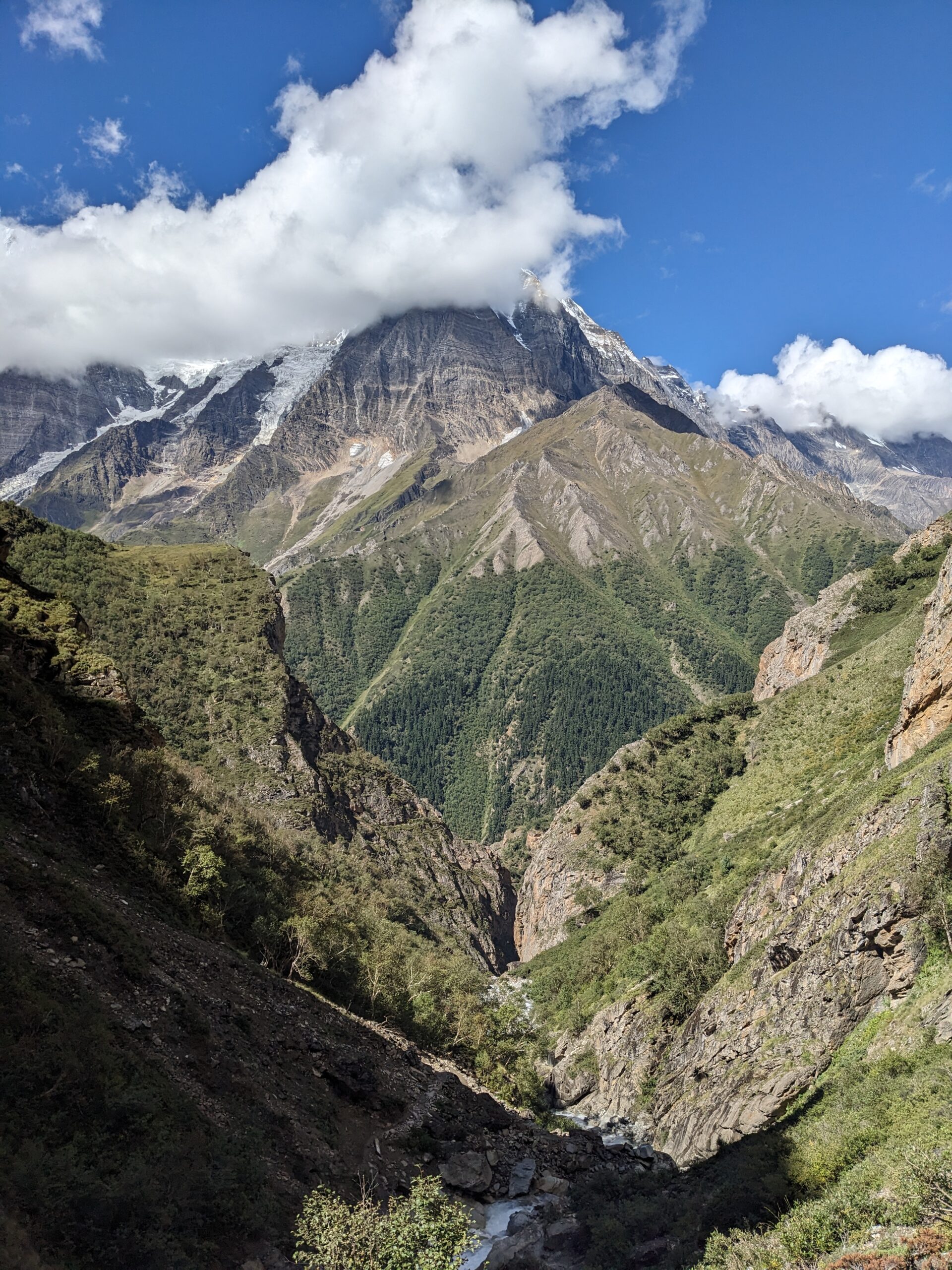 PXL_20240831_040205083 scaled